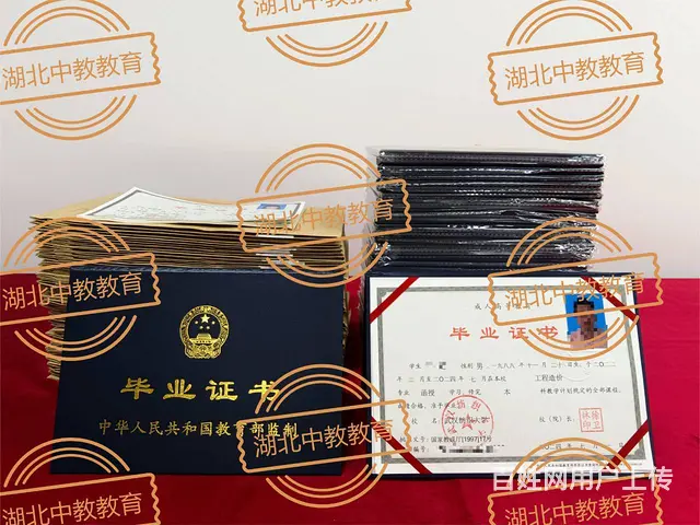 成人高考专升本报名时间2024-报名收尾中 - 图片 2