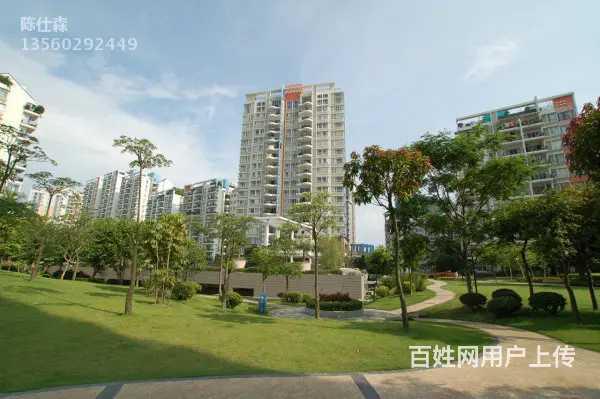 白天鹅花园三期 南向 看了的都说一点唐春印心间，如 - 图片 11