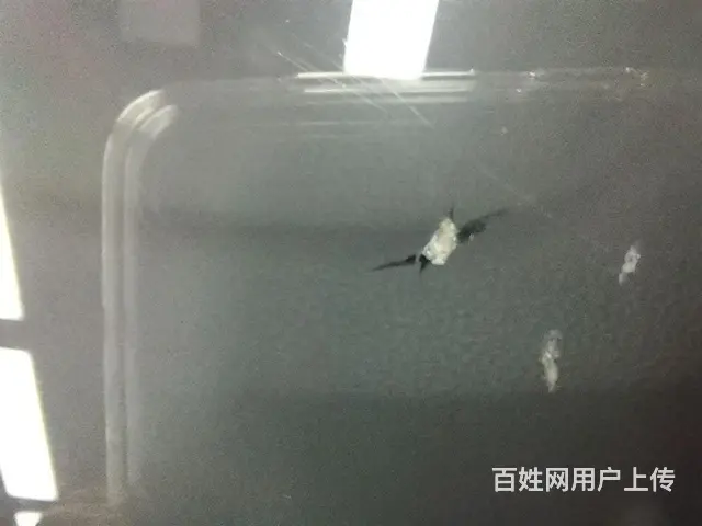 温江汽车玻璃修复 专业技术口碑好 - 图片 1