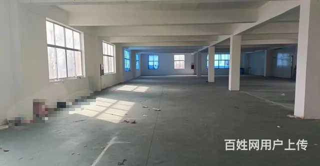 初村独门独院框架厂房带货梯低价出租 - 图片 3