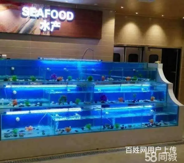 扬州【庆亚】江都仪征海鲜玻璃鱼缸测量定做安装 - 图片 12