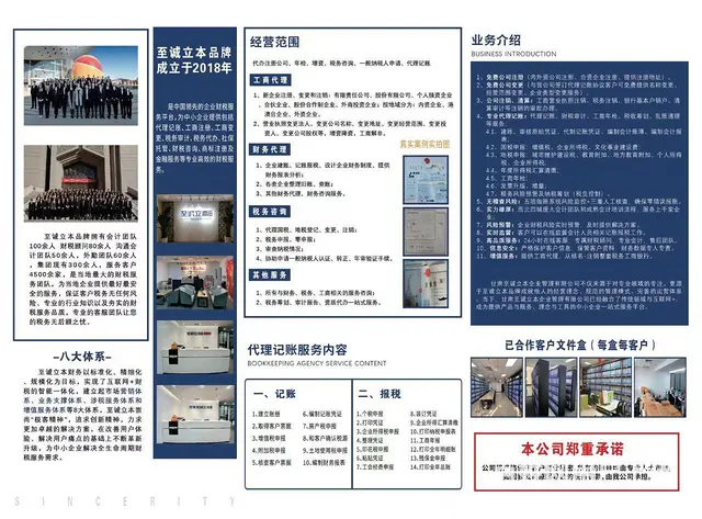 ，税务咨询 会计审计 - 图片
