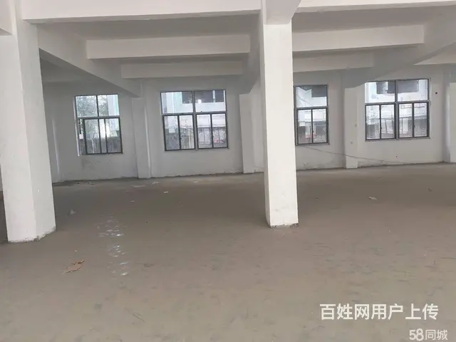 火炬园马垅4层3600平可分割 - 图片 5