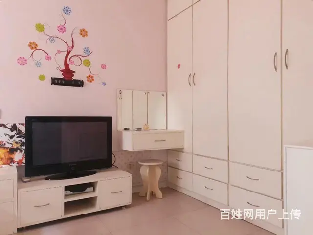 毓璜顶医院 道恕街 华茂附近 精装1室 1楼 家电齐 - 图片 3