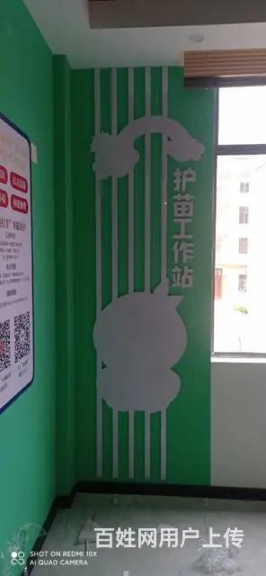 湖口文化背景墙装饰照片墙励志员工风采荣誉榜设计安装 - 图片 4
