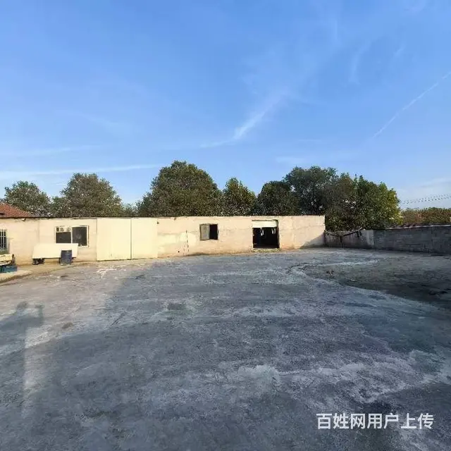 张村前双岛728平独门独院厂房出租，可分租 - 图片 2