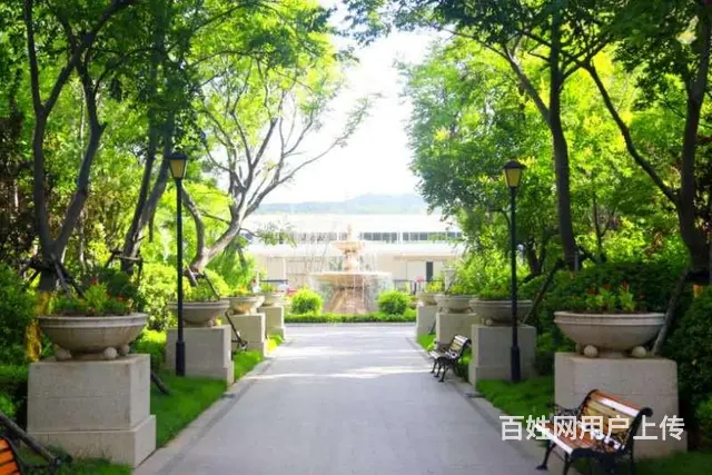 九龙湾商圈天泽府城市型别墅 赠 送400平 依山傍 - 图片 6