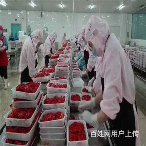 出国打工澳洲（无费用）年薪60万雇主担保签证 - 图片 3