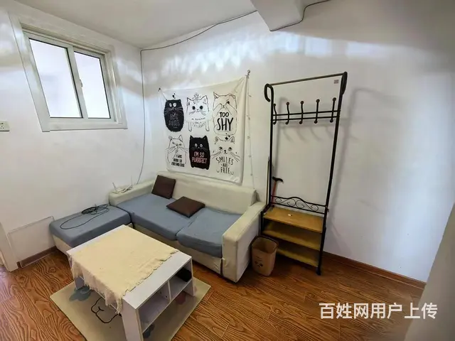 王场东村 普通住宅1厅 精装修 - 图片 2