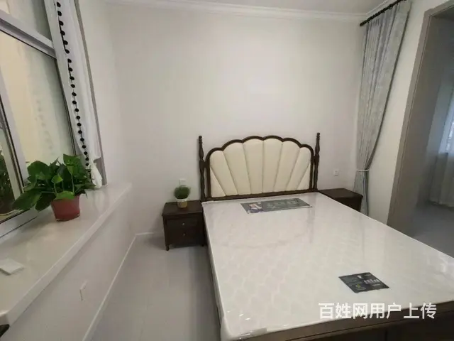 解放路 中医院附近 新建院 一楼 精装修 - 图片 3