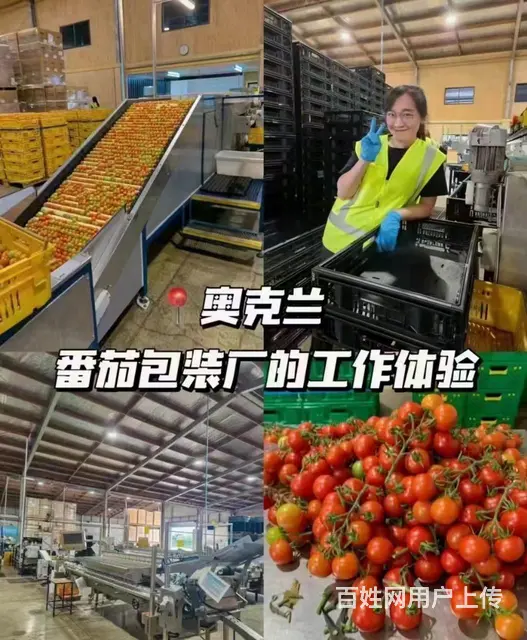 新疆乌鲁木齐正规出国劳务公司丹麦招建筑家装工包吃住 - 图片 3