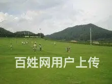 娄底草皮价格怎么样，铺设效果好吗，在哪有草皮买？ - 图片 10
