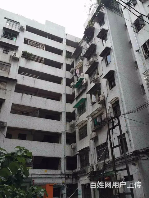 西门口地铁 西门口广场 盒马鲜生对面 精装电梯两房 - 图片 12