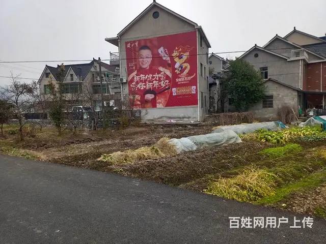 连云港药品乡镇民墙广告,学校招生刷农村广告,桥面彩 - 图片 3