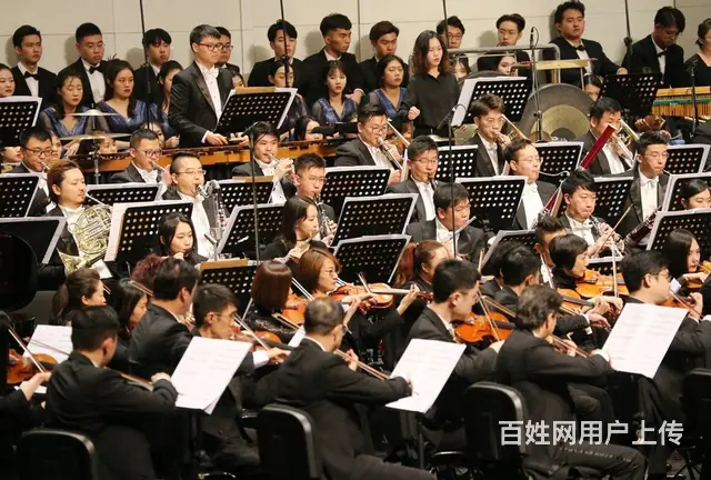 琴行机构招聘平台进入全球国际音乐家协会官网了解 - 图片