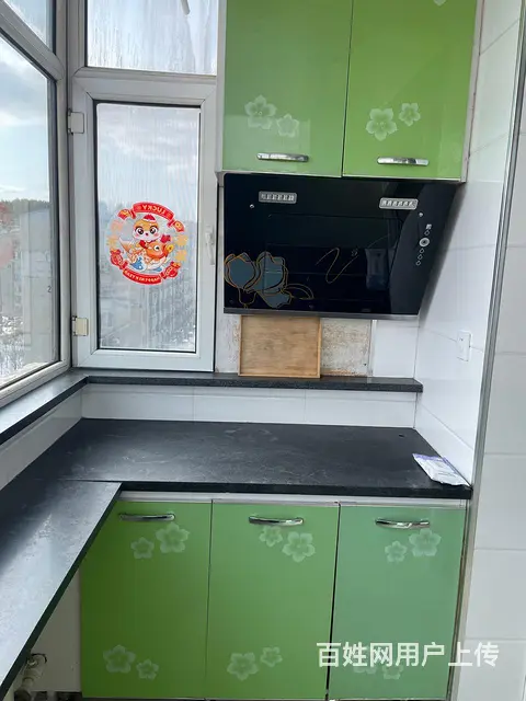 绿洲花园小区精装修出租 - 图片 6