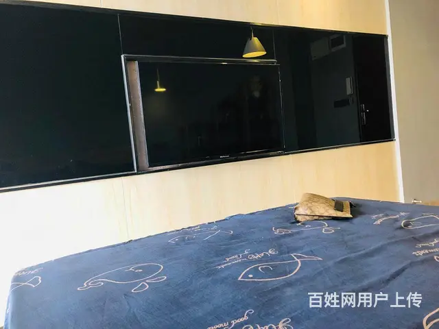 金港湾单身公寓全新未入住装修风格好看简洁全新适合单身或情侣 - 图片 5