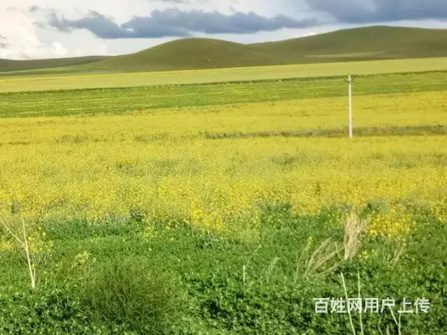 呼伦贝尔呼伦贝尔包车企业服务 - 图片 2