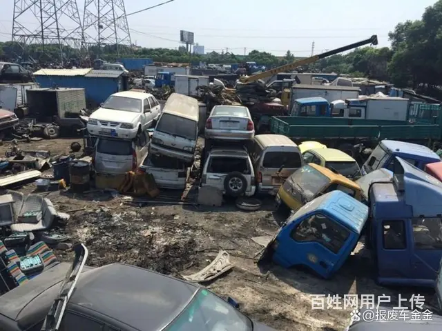 阿尔法-罗密欧Giulia 2020款 2.0T 手自一体 - 图片 2