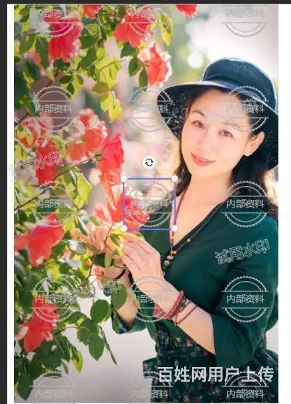女68岁交友 - 图片
