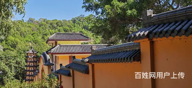 农家乐野炊团建，打造团队凝聚力 - 图片 5