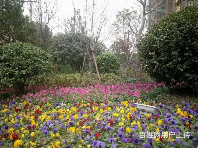 7号线口500米永和之星，萧山新街，精装现房，阳台 - 图片 10