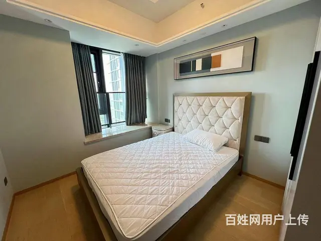 东湖旁 业主自主出租 近武汉站 一梯一户 全屋定制 - 图片 11