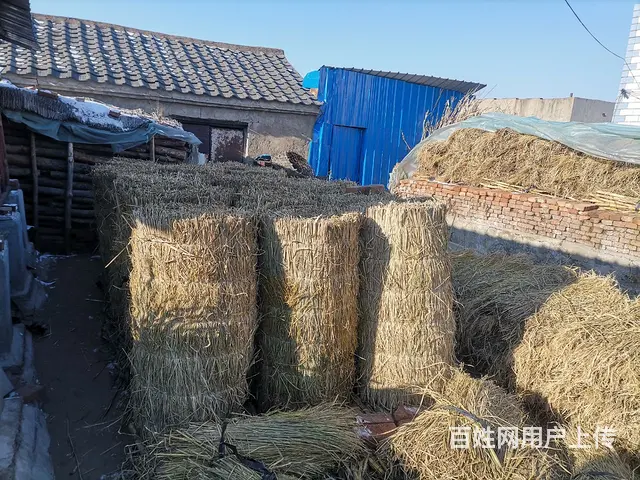 买卖手割稻草和卖稻草帘，卖柴油机和自作玉米脱粒机 - 图片 3