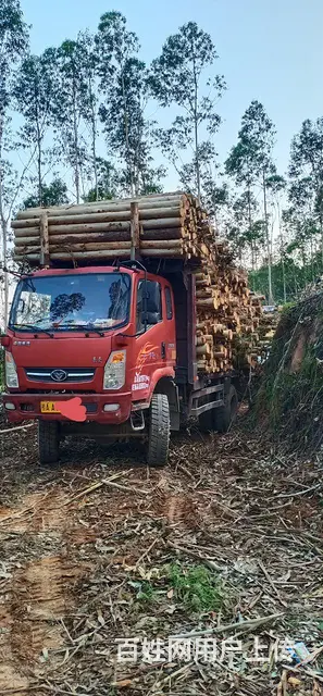 重汽豪曼 自卸车 - 图片 8