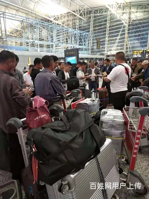 山西大同出国雇主急招出国劳务保姆家政导购等 - 图片 1