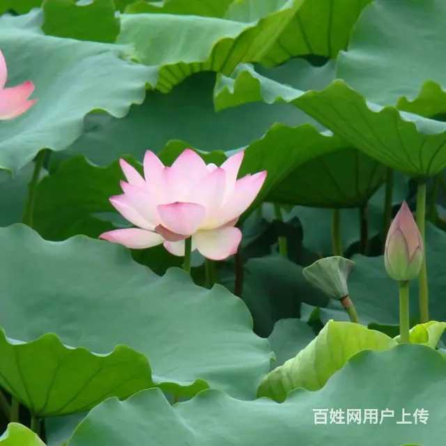 女舍合租  价格便宜  人少肃静  干净整洁 - 图片