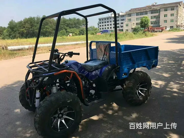 天水 沙滩车 125到1100CC卡丁车四轮摩托车 - 图片 5