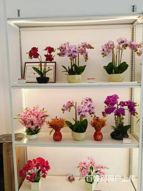 （51旺铺推荐）南山景区20平礼佛鲜花坊店转让 - 图片 4