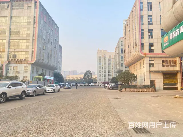 (房东直租)宁乡妙盛工业园400一1600平厂房出租，出售 - 图片 2