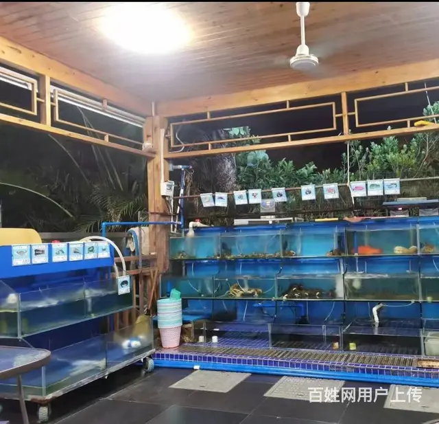 （51旺铺推荐）亚龙湾博后300平+海棠湾风塘路600平海 - 图片 11