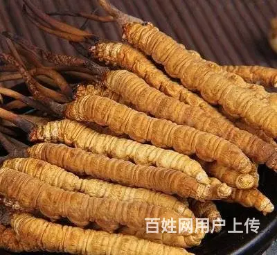 高价回收礼品老酒洋酒名酒冬虫夏草茅台五粮液 - 图片 8