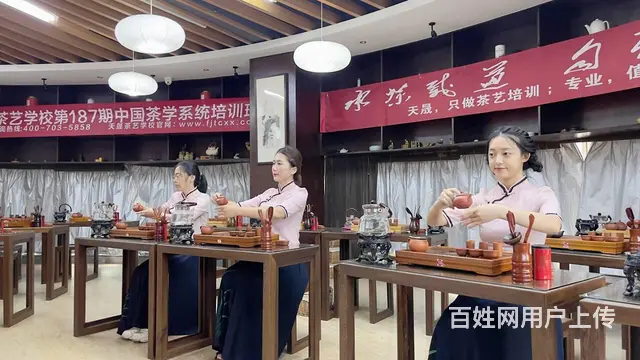 专注成就专业 ，天晟九月茶艺培训班11日开课 - 图片