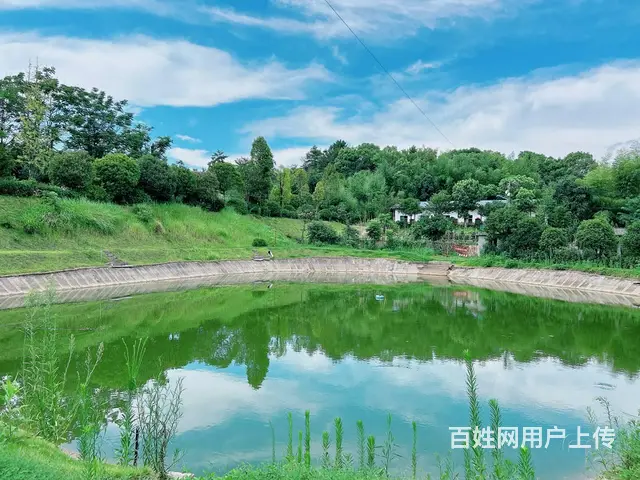 （老板本人）望城独门独院农家乐露营基地招租（可合作经营） - 图片 9