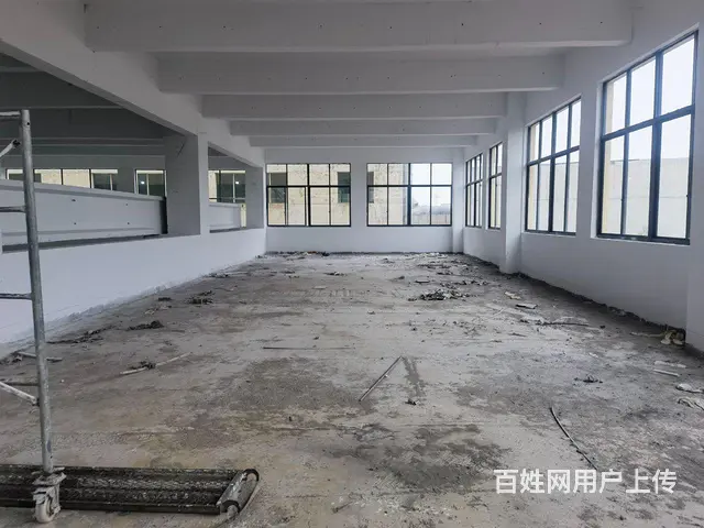 新建单层厂房出租，《真实有效》 - 图片 3