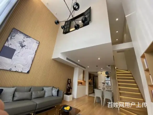 湖塘   春秋淹城旁首付20万璞越春秋挑高朝南现房 南北通透 - 图片 3