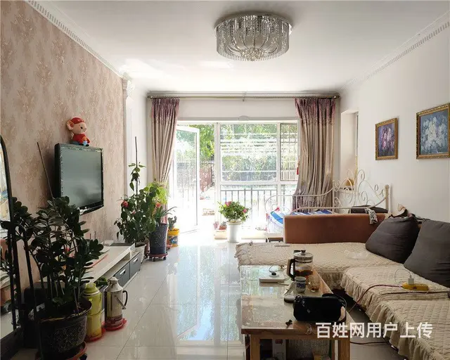想种园子的可以过来看看了，碧桂园一楼98.7平 - 图片 8