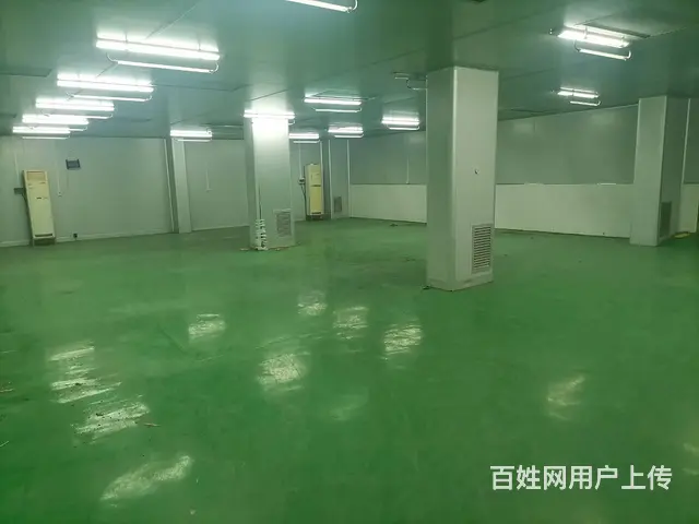 出租：1托盘起租 广州17000方平仓 提供长租、短租服务 - 图片 2