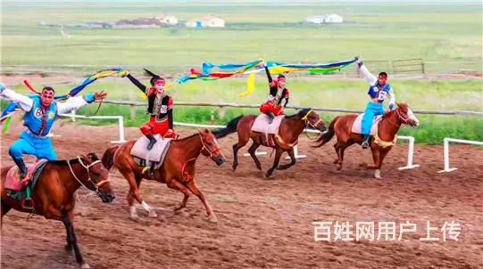 呼伦贝尔陈巴尔虎旗呼伦贝尔包车来回多少钱呼伦贝尔包车上什么网 - 图片 1