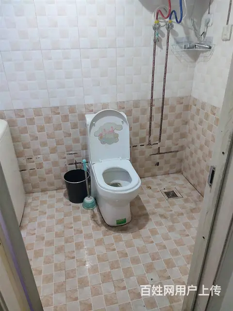 地铁房爱丽香舍(铁西) 普通住宅2厅 中等装修 - 图片 10