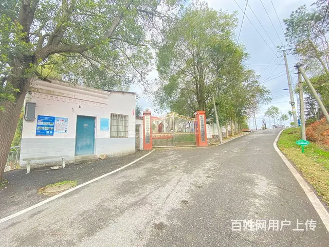 (房东直租)沙坪占地10亩园林式办公，休闲，商业场所出租 - 图片 6