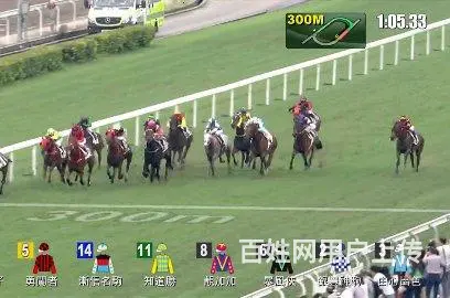 TVB翡翠台直播 - 图片 4