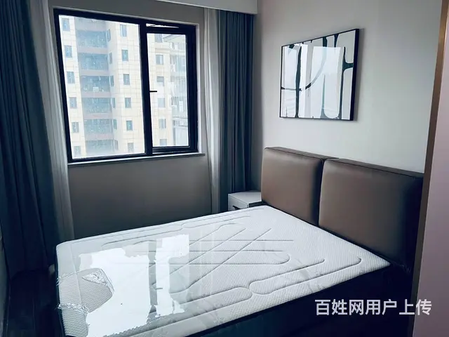 梦想新天地 普通住宅2厅 豪华装修 - 图片 6