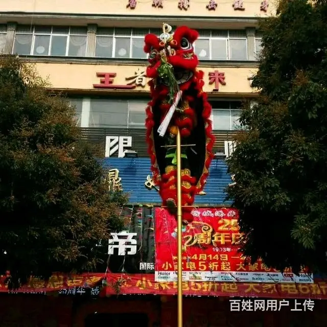 防城港市专业舞龙舞狮 - 图片 4