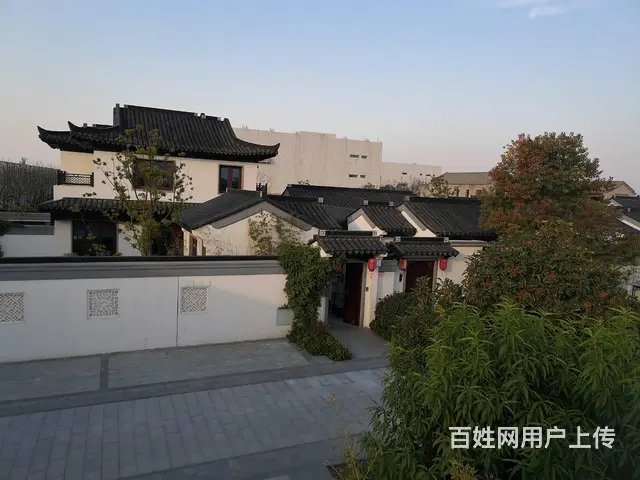 濮阳百石景观 - 图片 6