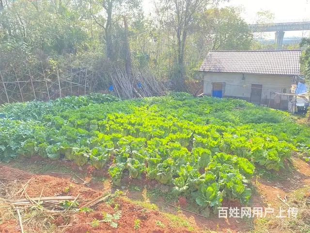 (房东直租)榔黎上海大众旁200平厂房，带650平外坪出租 - 图片 8
